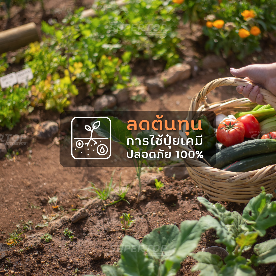 มูลไส้เดือน 1 KG. SUPERTOP | อุดมไปด้วยจุลินทรีย์ และธาตุอาหาร