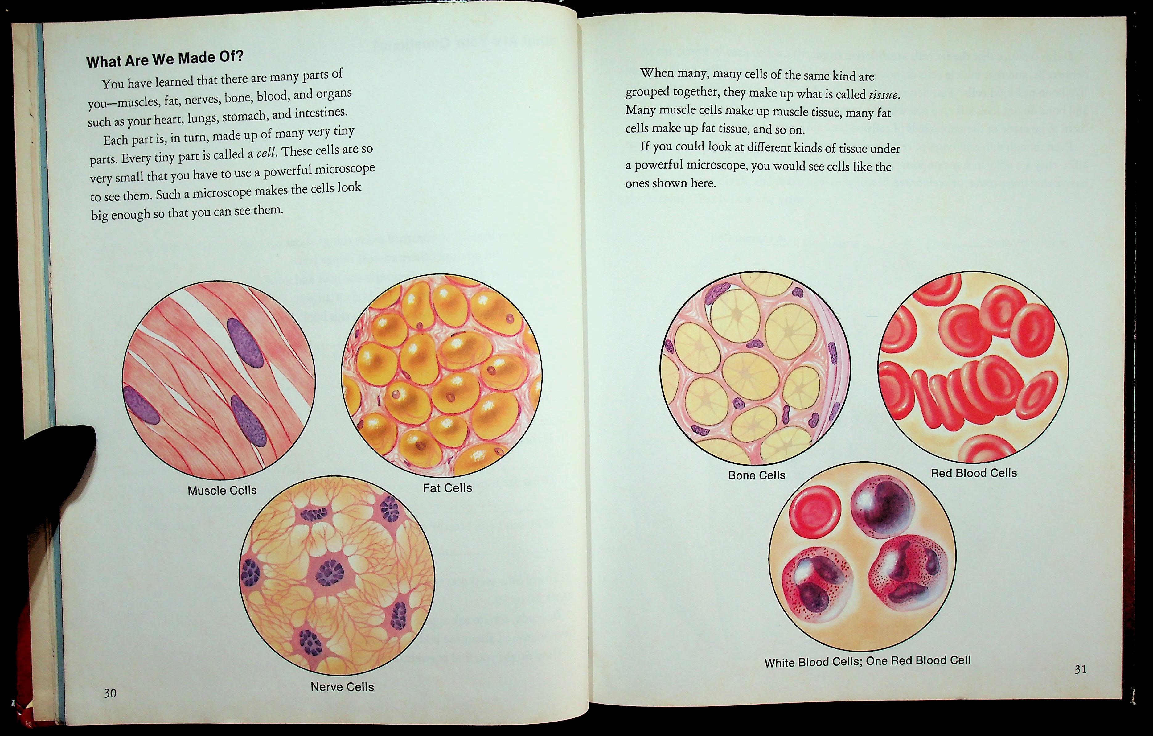 Health and Growth : 3