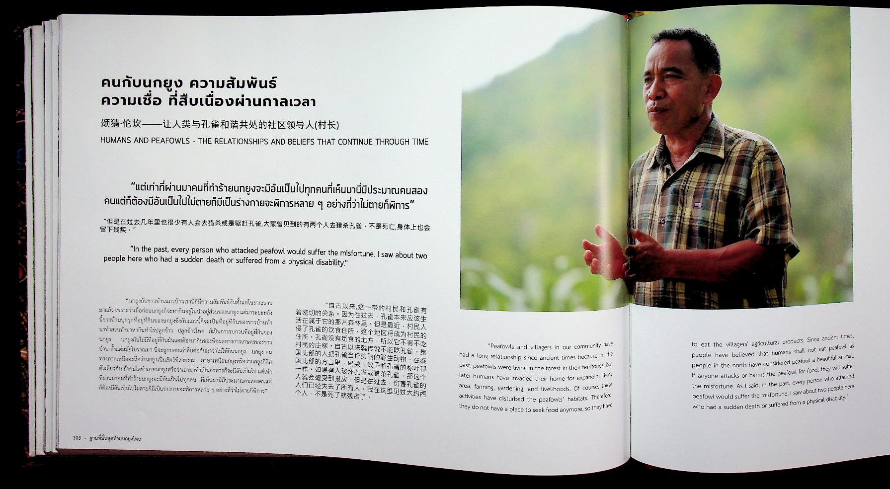 ฐานที่มั่นสุดท้ายนกยูงไทย