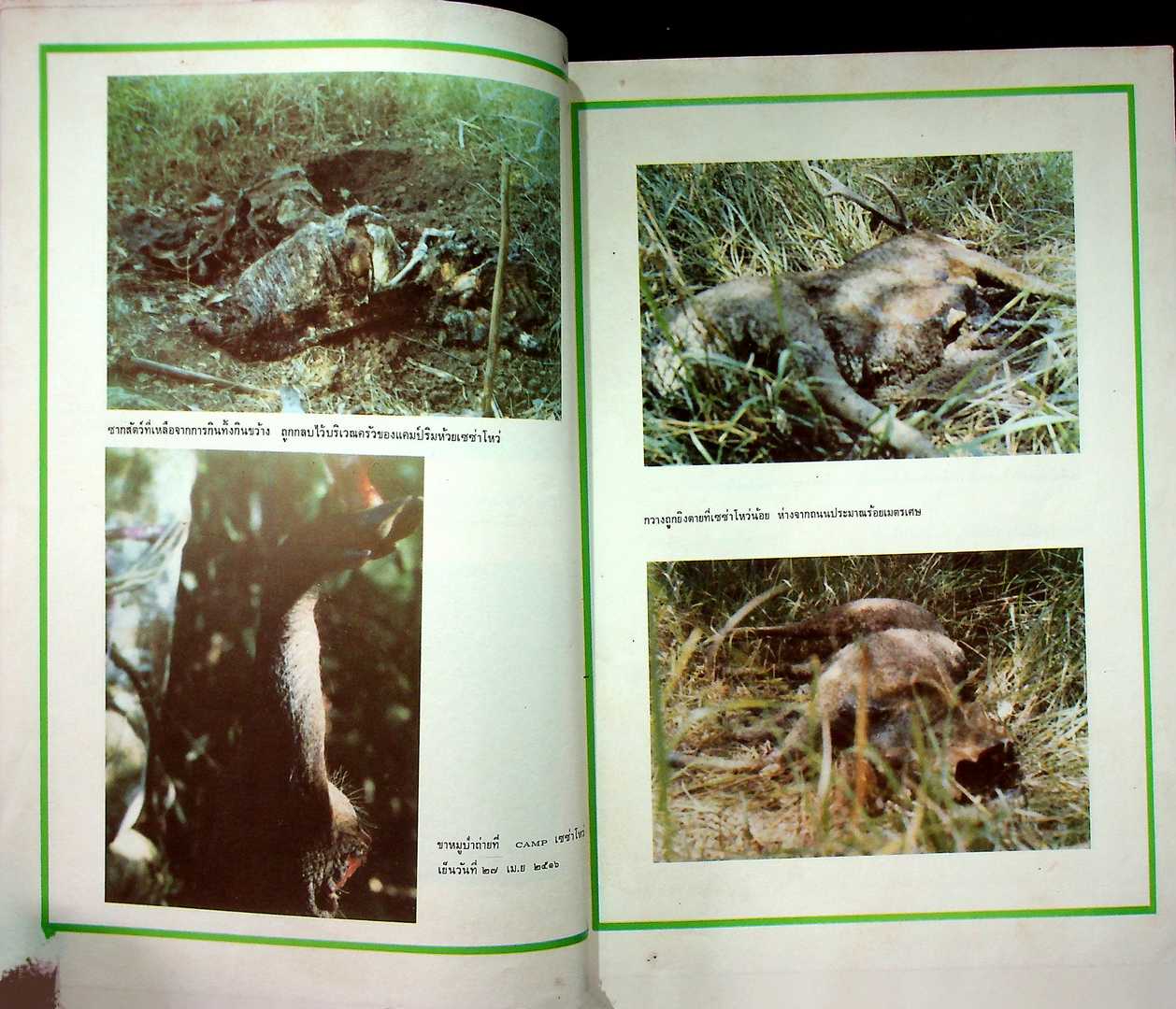 บันทึกลับจากทุ่ง ใหญ่