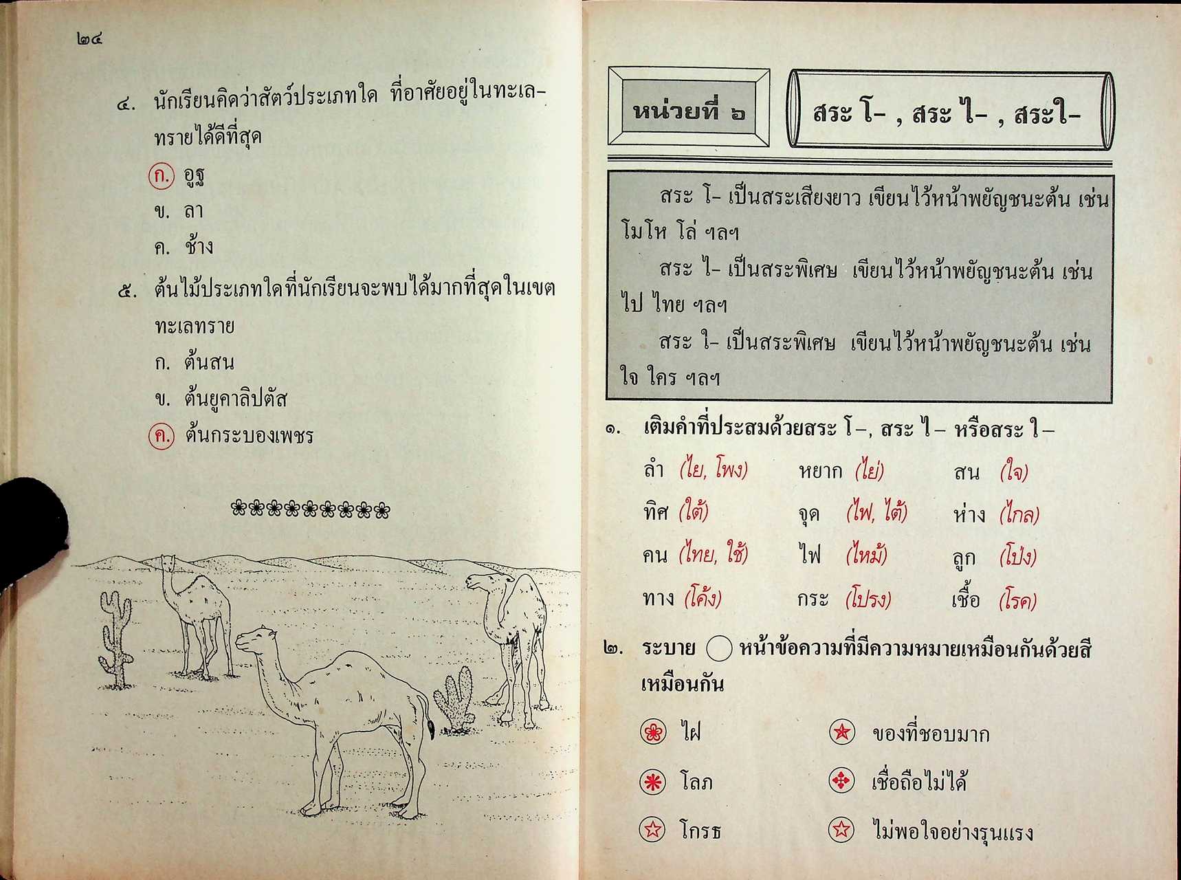 แผนการสอนวิชา ภาษาไทย ป.2 ตามหลักสูตรประถมศึกษา พ.ศ.2521 (ฉบับปรับปรุง พ.ศ.2533)