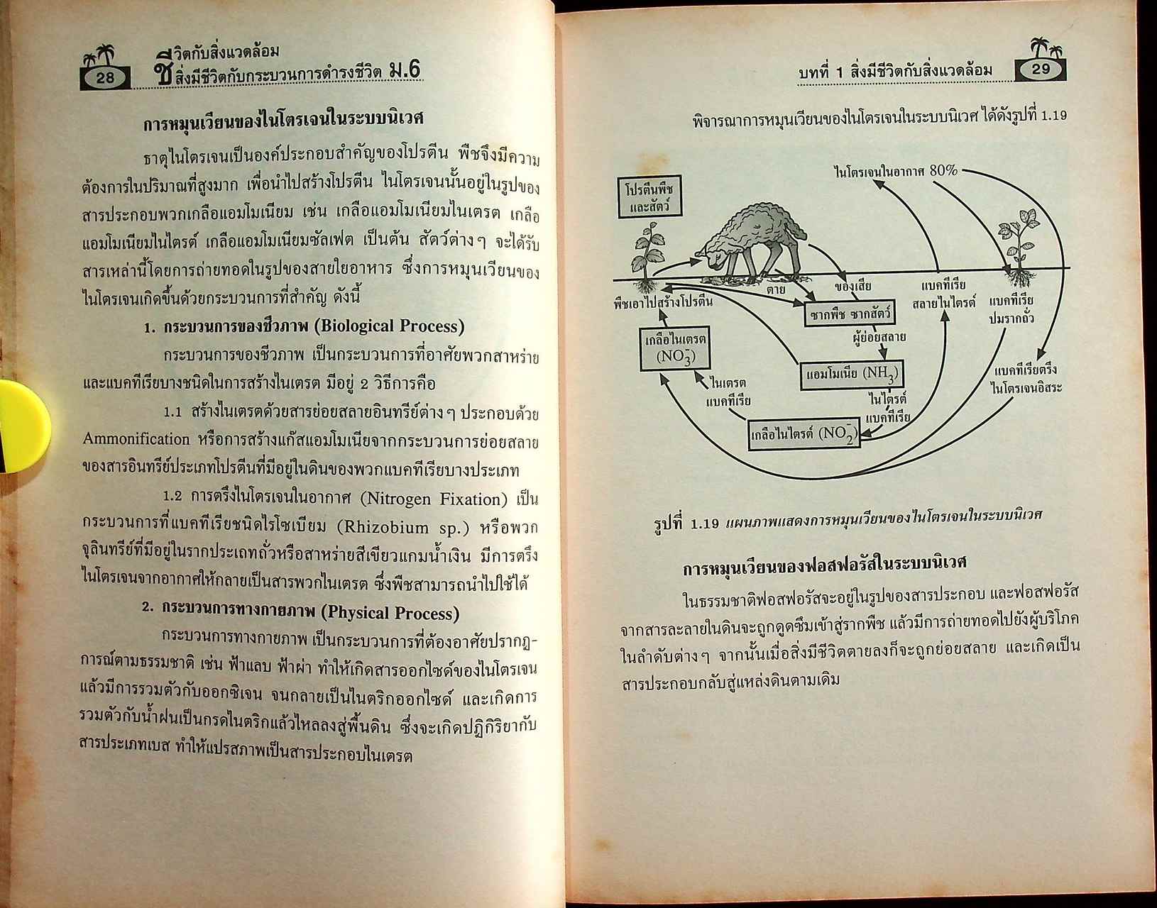 คู่มือเตรียมสอบ ชีวิตกับสิ่งแวดล้อม สิ่งมีชีวิตกับกระบวนการดำรงชีวิต ม.6 ช่วงชั้นที่ 4 (ม.4-5-6)