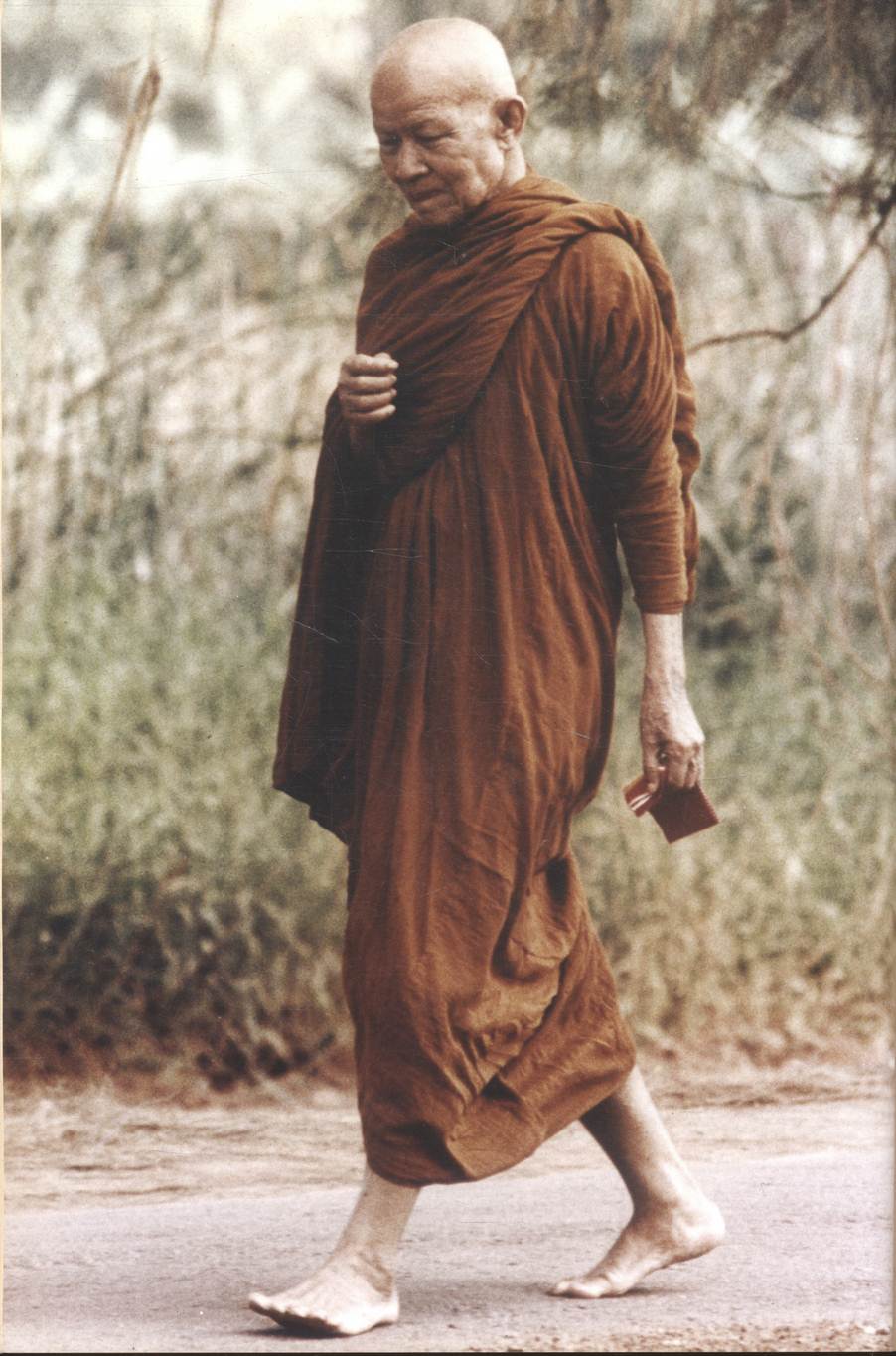 พระมหาบัว ญาณสัมปันโน [ ในงานพระราชทานเพลิงถวายแก่สรีระสังขาร พระธรรมวิสุทธิมงคล (หลวงตาพระมหาบัว ญาณสัมปันโน) ]