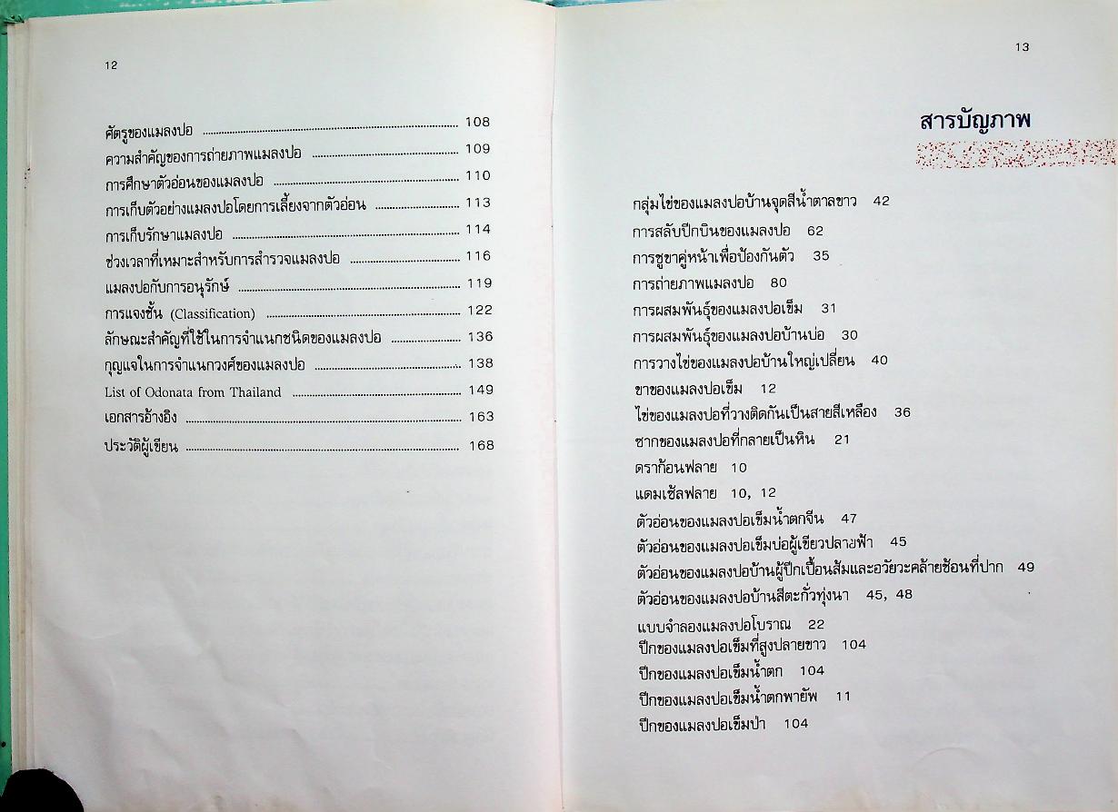 แมลงปอของไทย