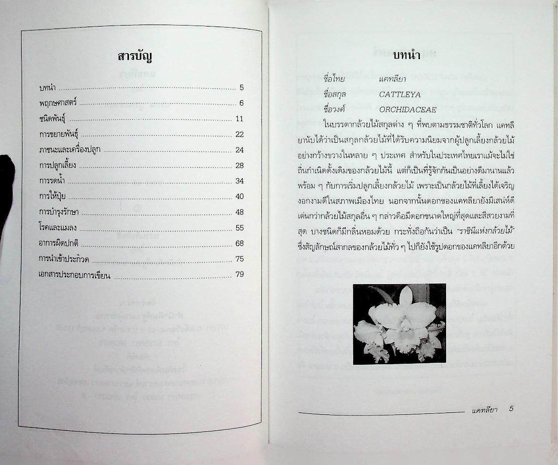 แคทลียา