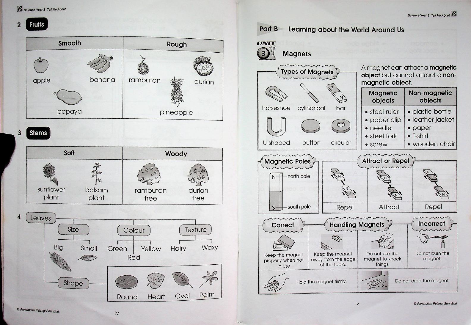 Prime Assessment ICPS SCIENCE Year 3