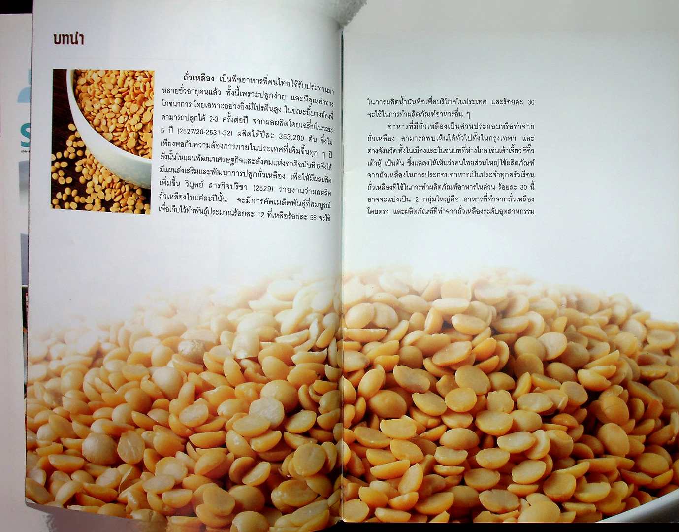 เต้าฮู้ เต้าฮวย