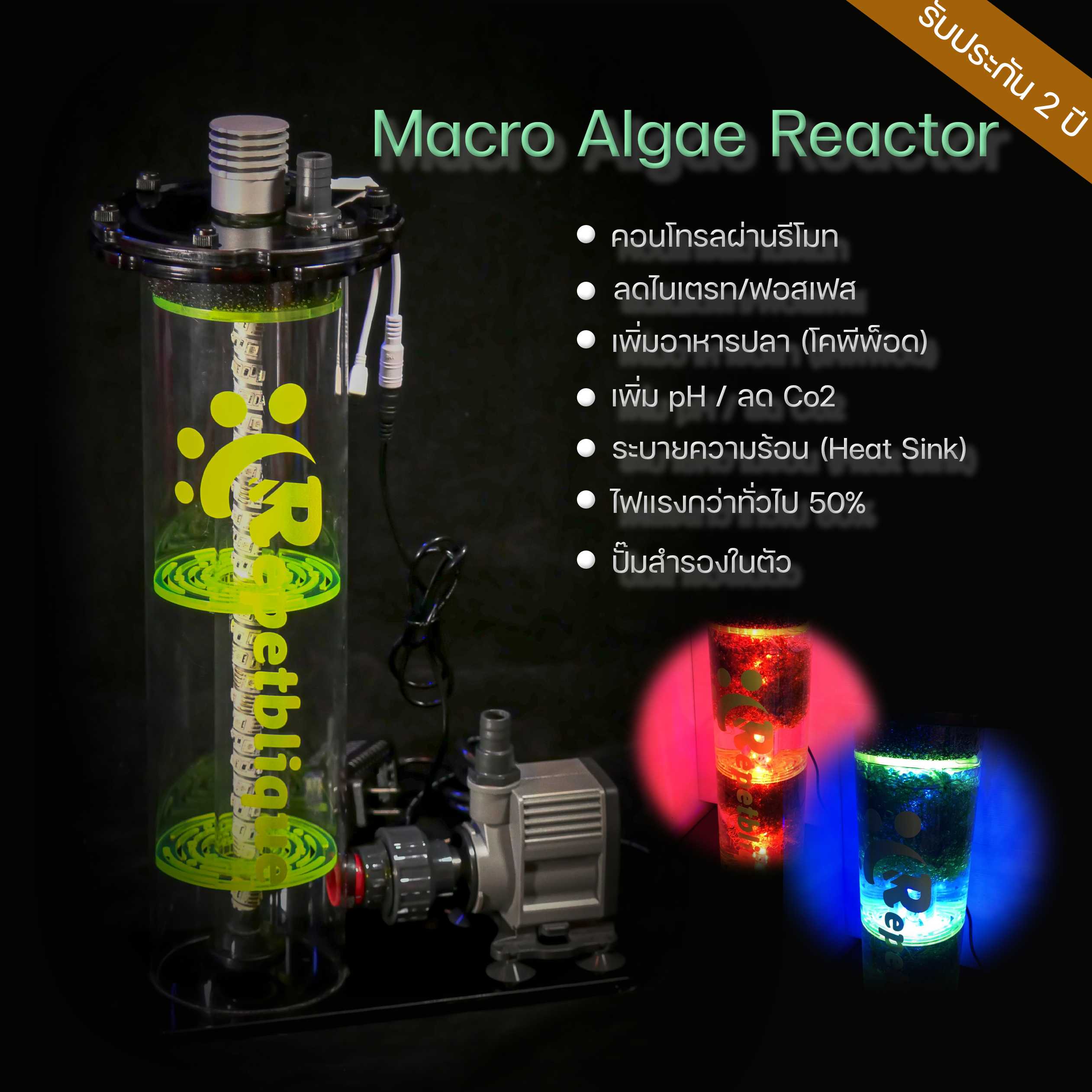 Macro Algae Reactor ระบบ Refugium เลี้ยงสาหร่าย