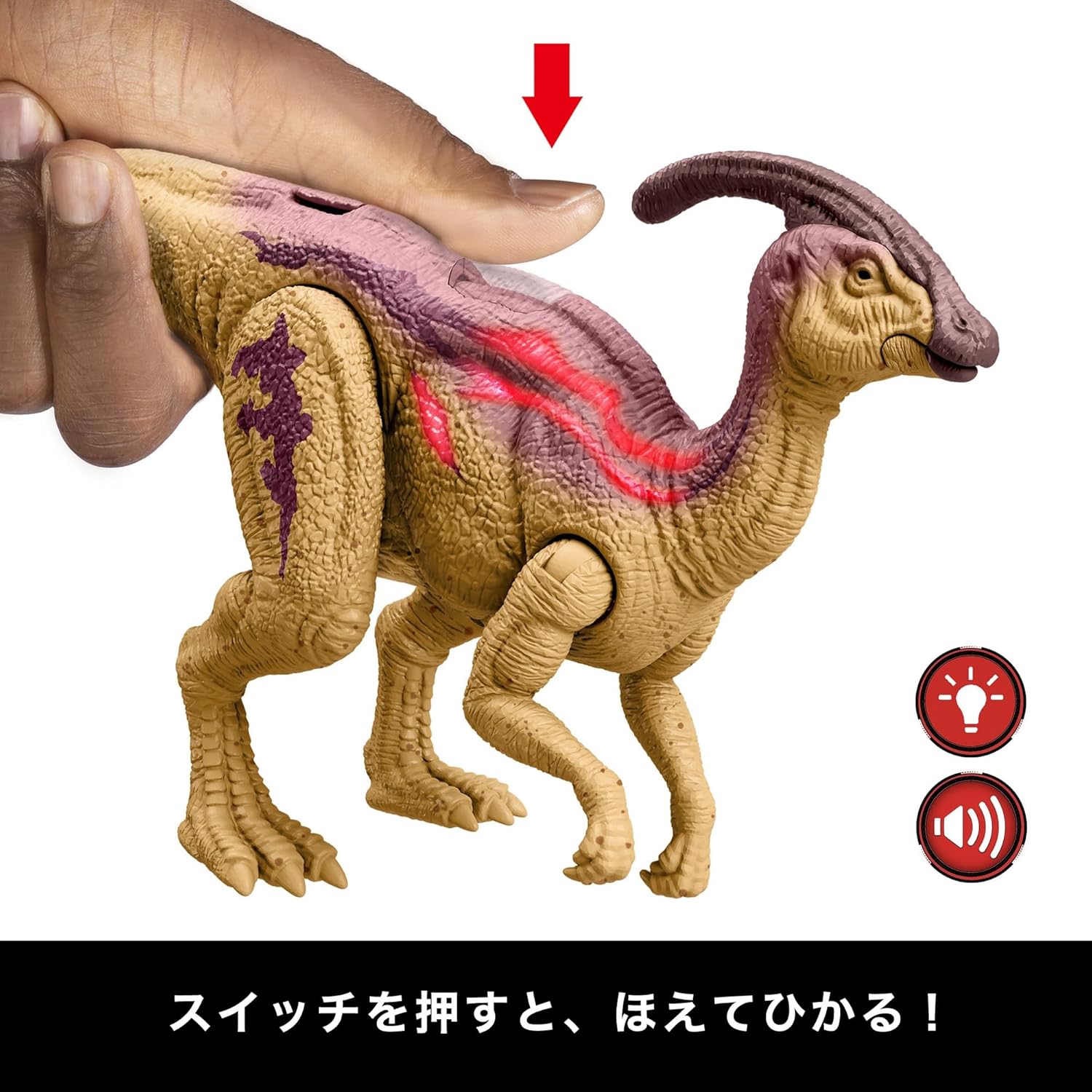 **MTS Toys**Mattel Jurassic World Wild Roar : HTK75 Parasaurolophus [ความยาวจากหัวถึงหาง 33 ซ.ม.]