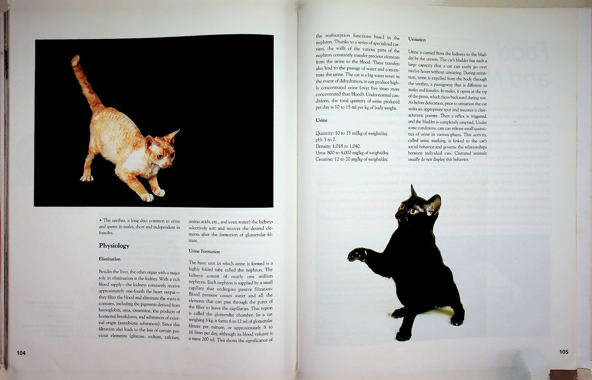 The Cat ENCYCLOPEDIA Volume 2