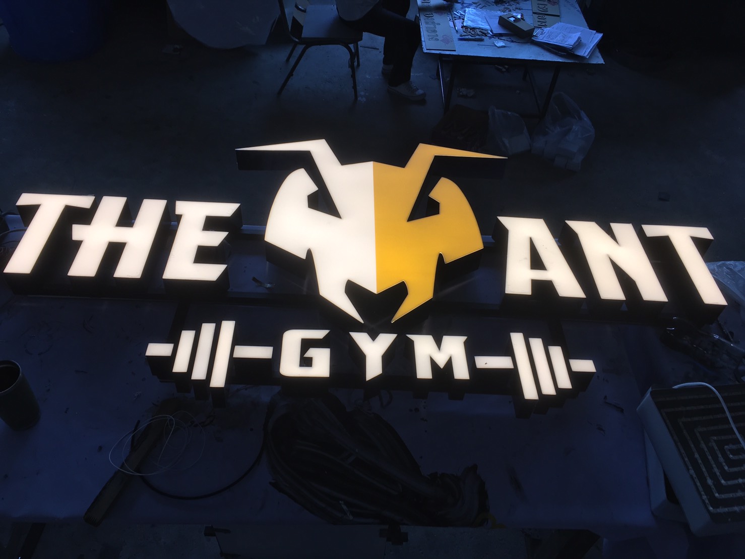 ป้ายตัวอักษรและโลโก้ออกไฟแอลอีดี งาน THE ANT GYM