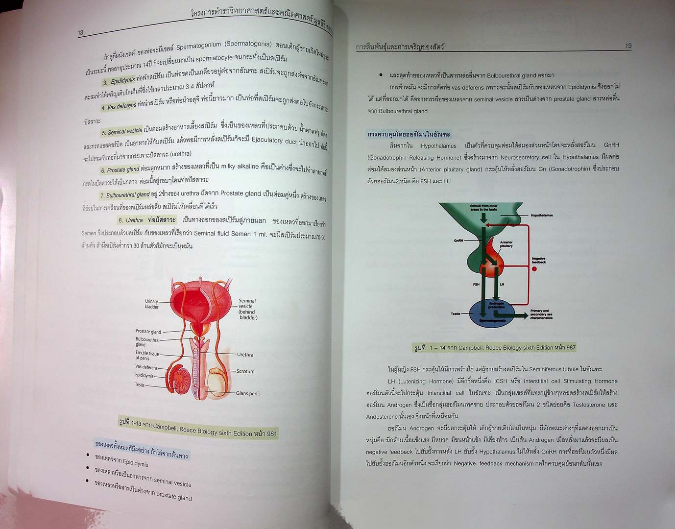 ชีววิทยา สัตววิทยา 2