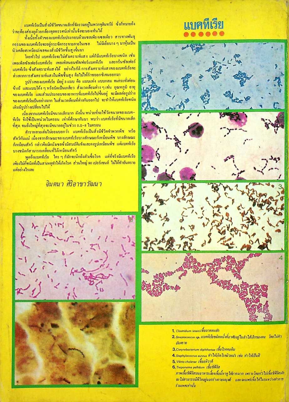 เพื่อนเรียน เพื่อนักเรียนมัธยมปลาย ปีที่ 2 ฉบับที่ 4 สิงหาคม 2524