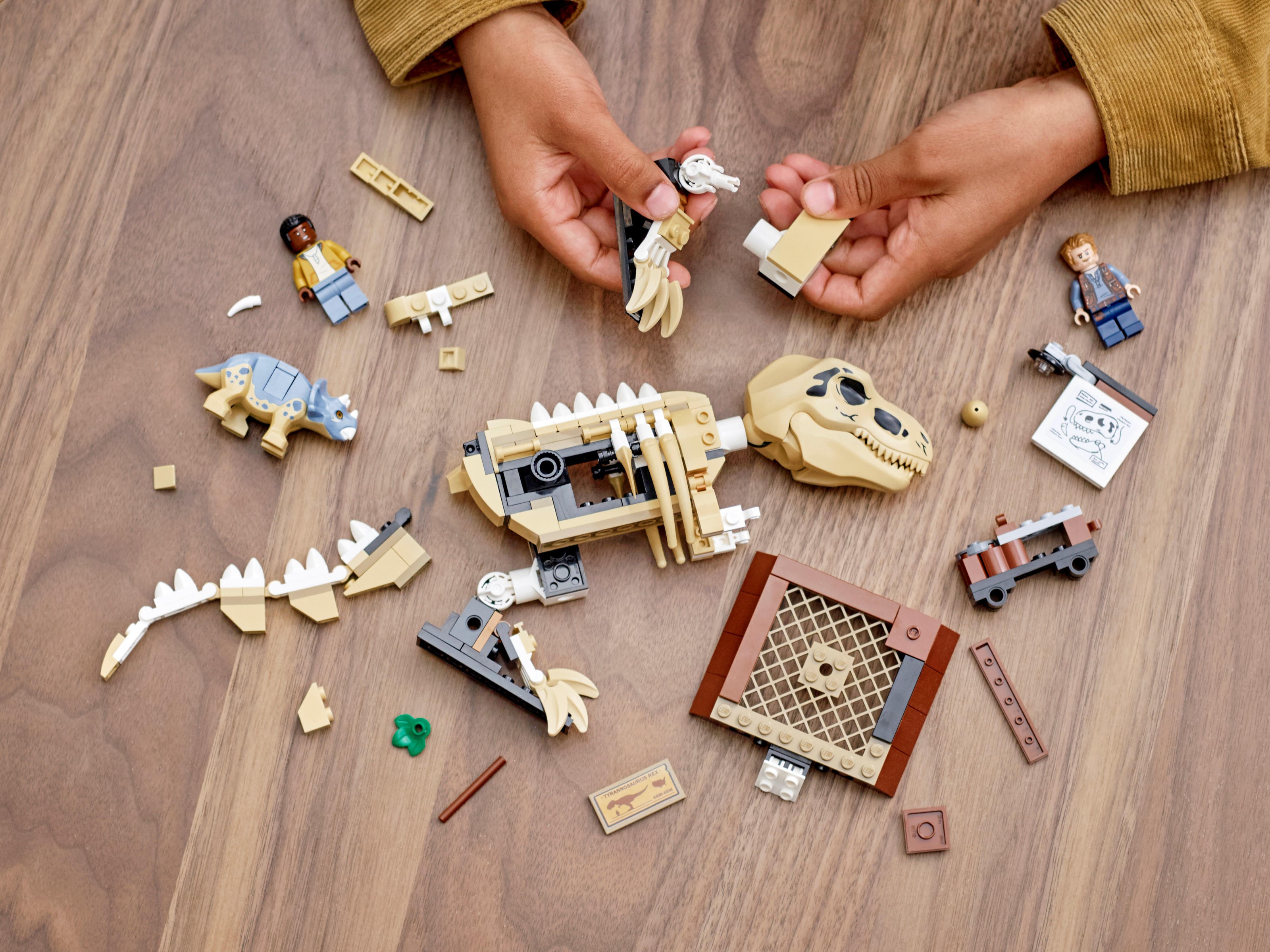 **MTS Toys**เลโก้เ Lego 76940 Jurassic World : T. rex Dinosaur Fossil Exhibition