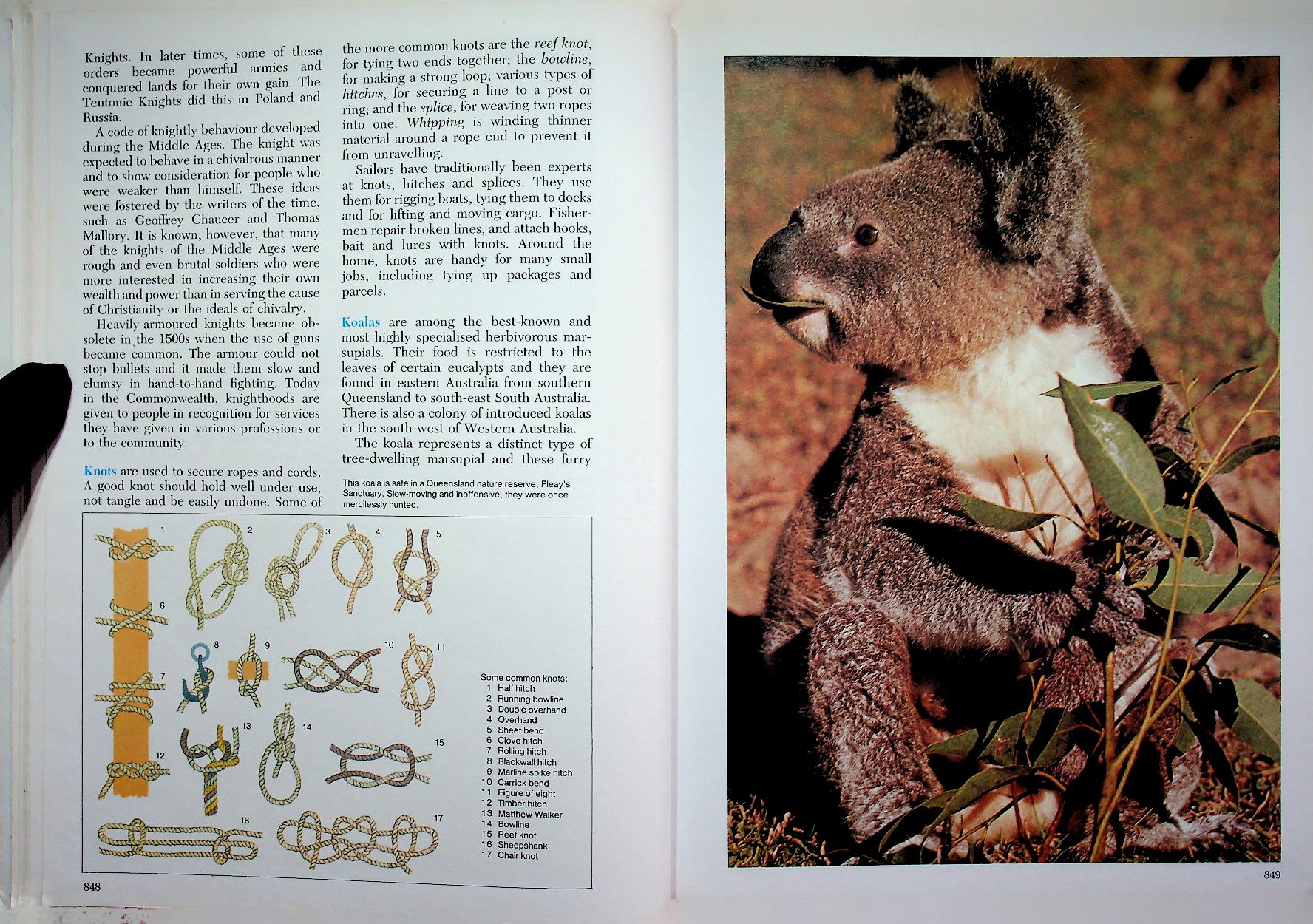 The 21st Century JUNIOR WORLD Encyclopedia 6