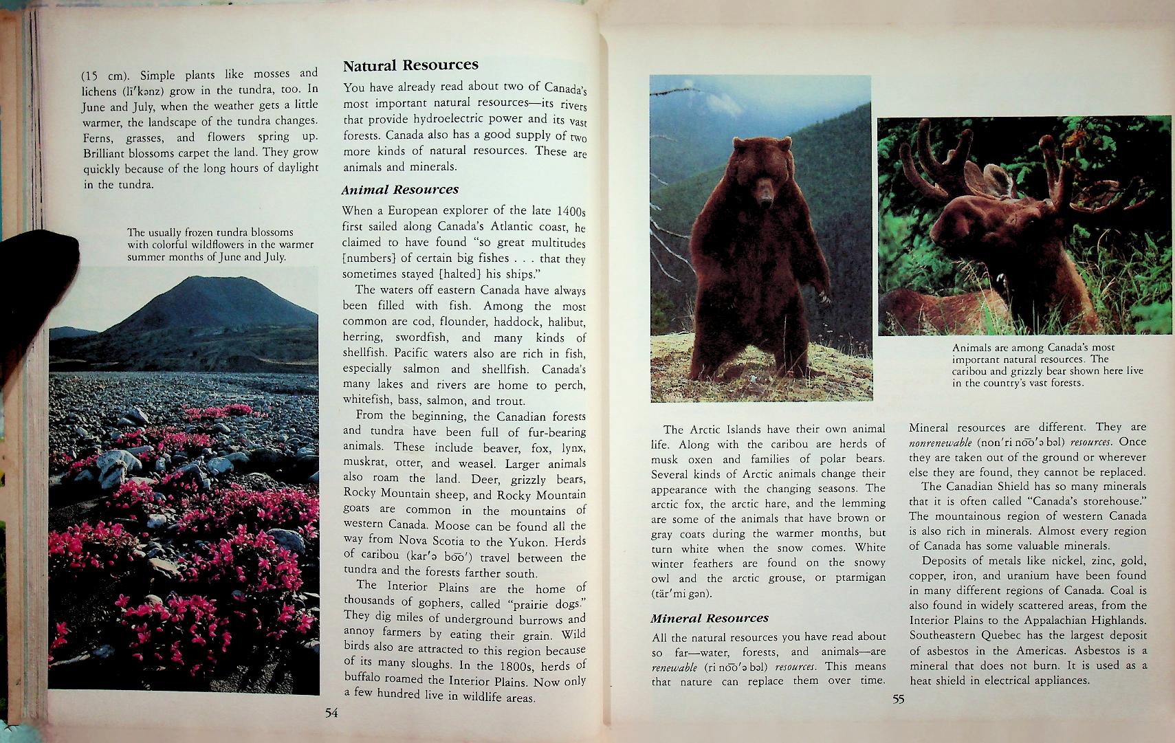 LATIN AMERICA AND CANADA