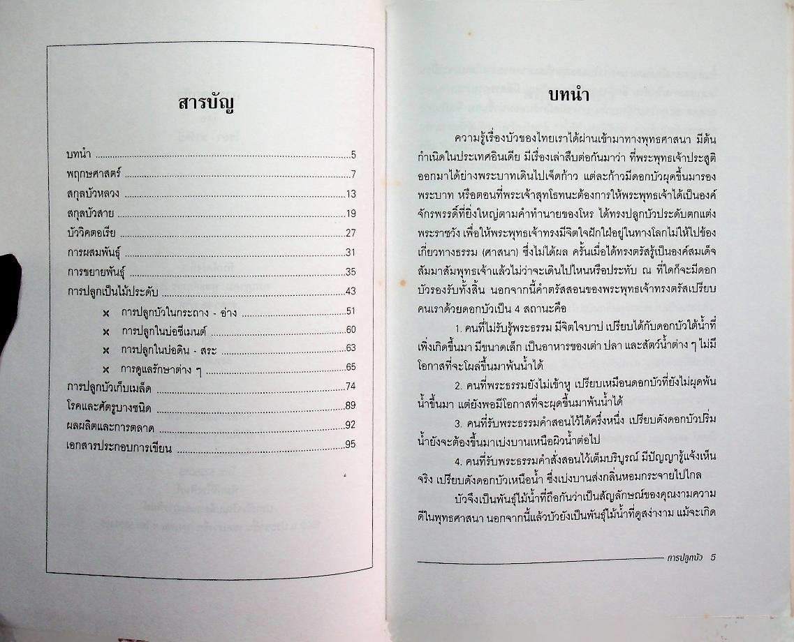 การปลูกบัว