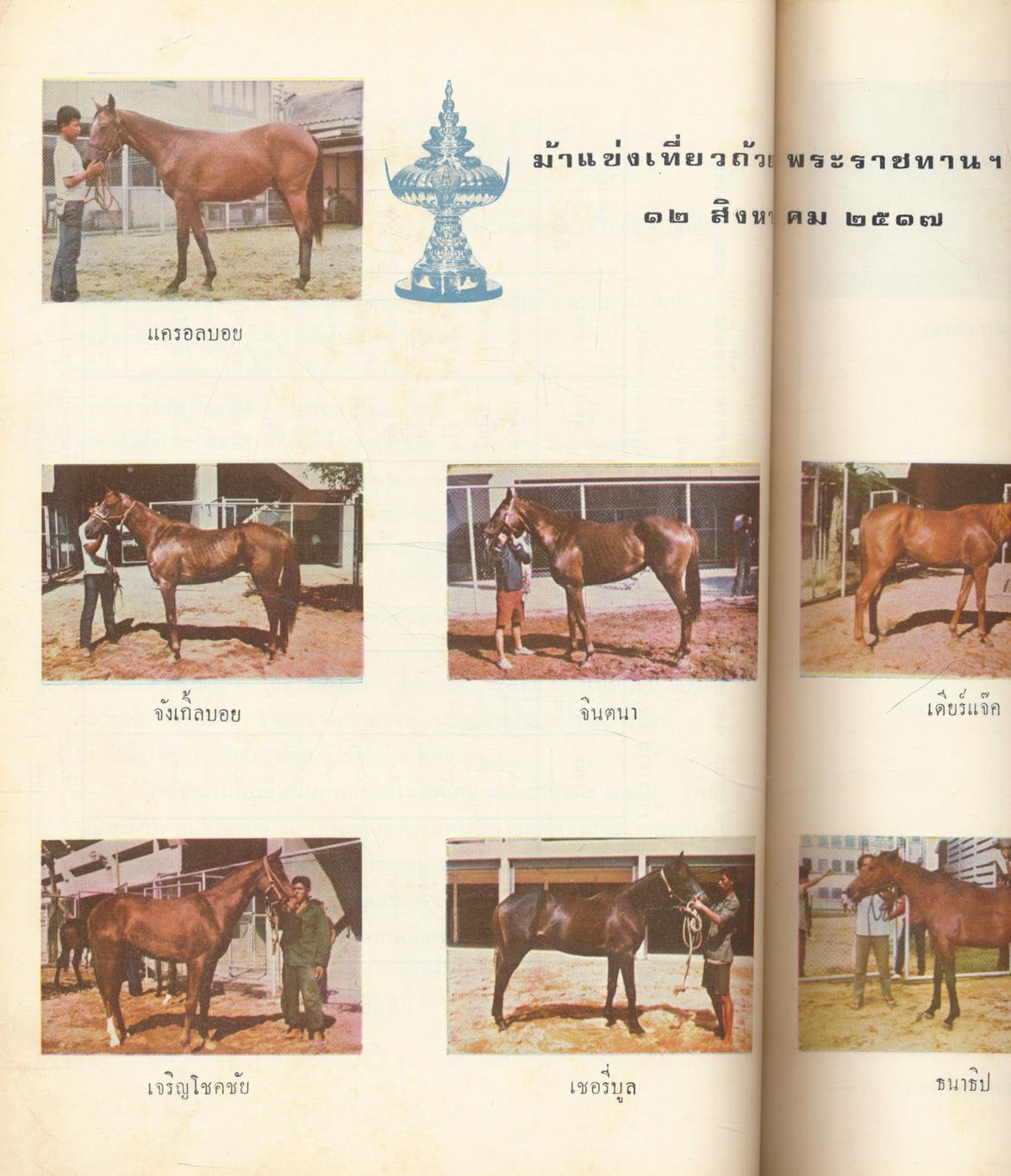 วันแข่งม้า ชิงถ้วยพระราชทาน สมเด็จพระนางเจ้าฯ พระบรมราชินีนาถ ๑๒ สิงหาคม ๒๕๑๗