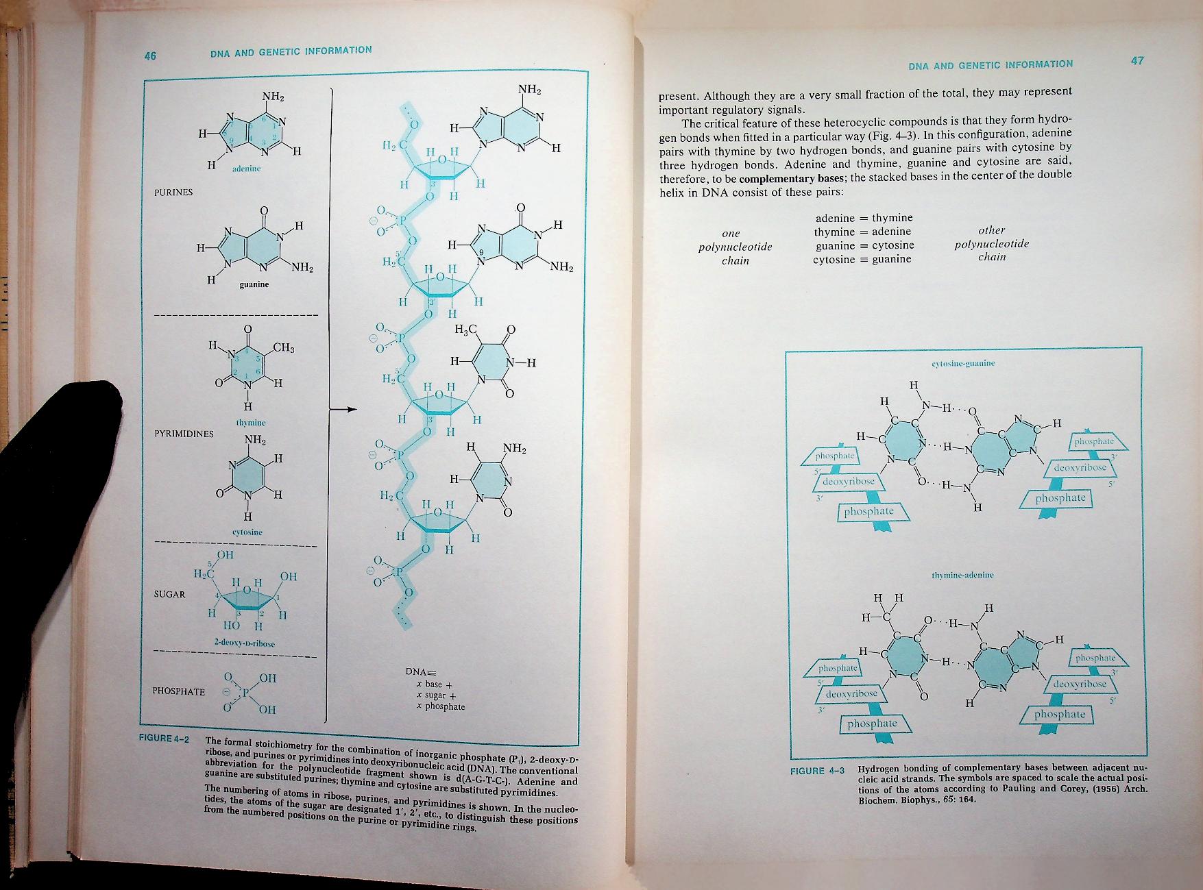 BIOCHEMISTRY A Functional Approach