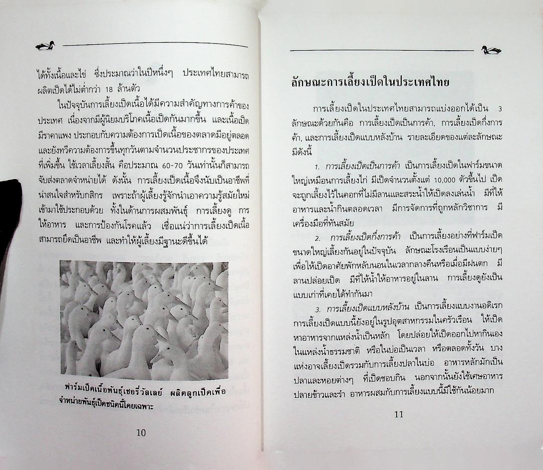 การเลี้ยงเป็ดเนื้อ