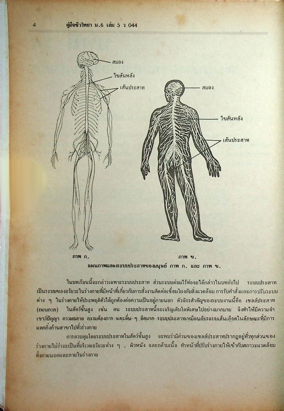 คู่มือเตรียมสอบ ชีววิทยา ม.6 เล่ม 5 ว 044