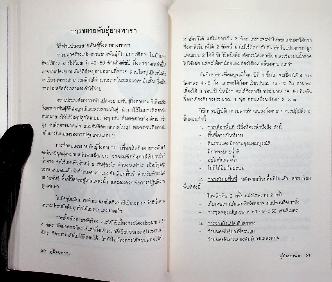 คู่มือยางพารา
