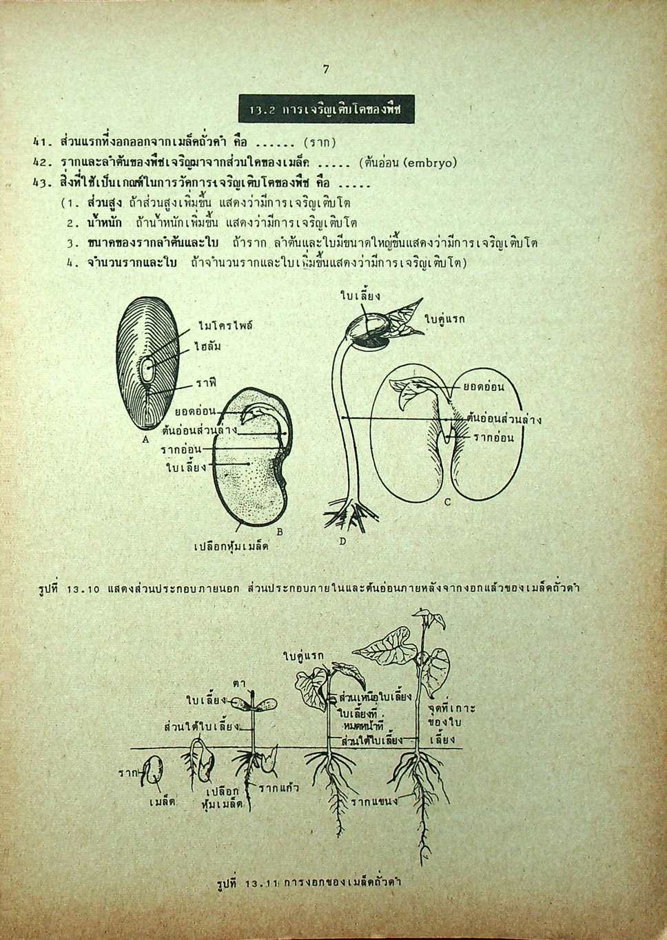 คู่มือ วิทยาศาสตร์ ม.3 เล่ม 5-6 ว.305,306 ปรับปรุงใหม่ สมบูรณ์ที่สุด