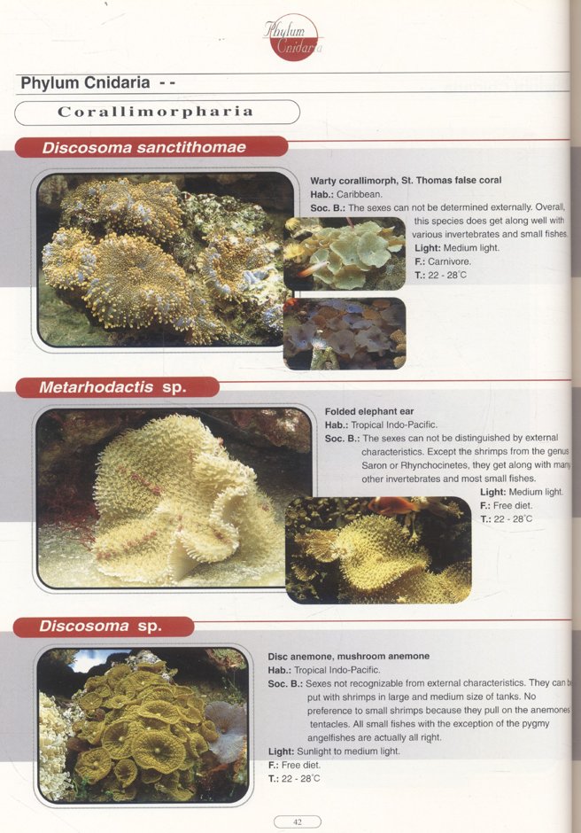 สัตว์ทะเลไม่มีกระดูกสันหลัง AQUARIUM Bible No.1 Marine Invertebrates ***เนื้อหาเป็นภาษาอังกฤษทั้งเล่ม