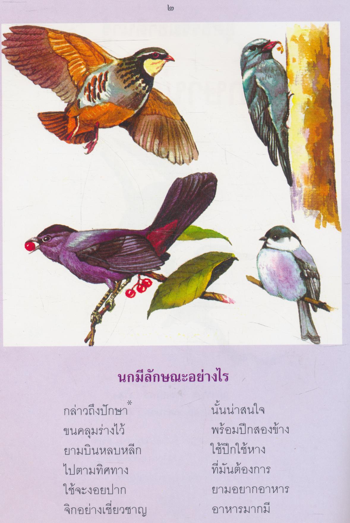 ชุดธรรมชาติน่ารู้ ปักษาน่าสนใจ