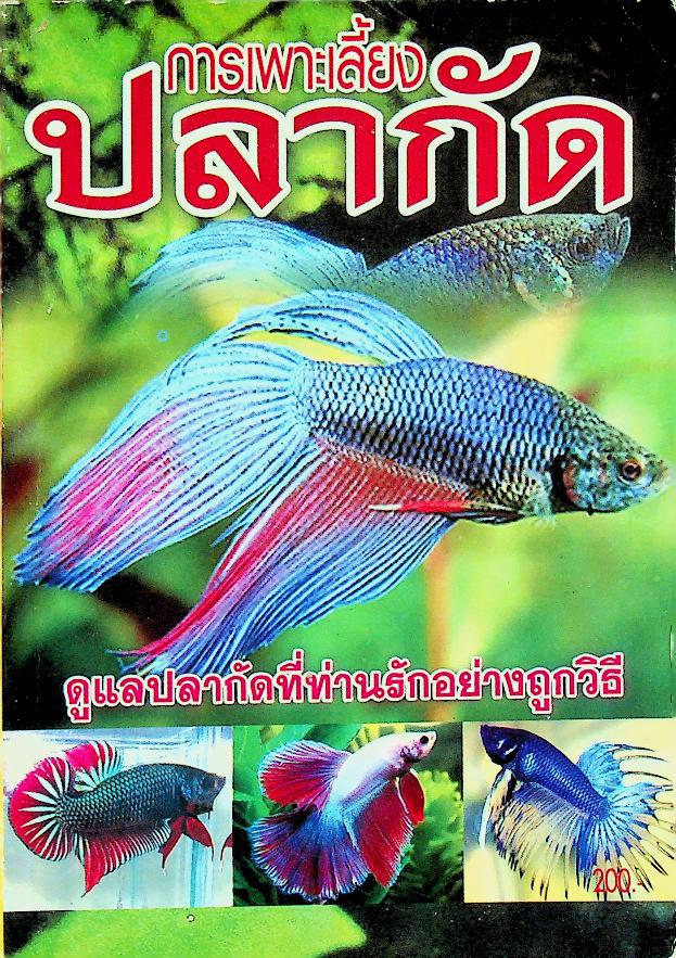 การเพาะเลี้ยงปลากัด