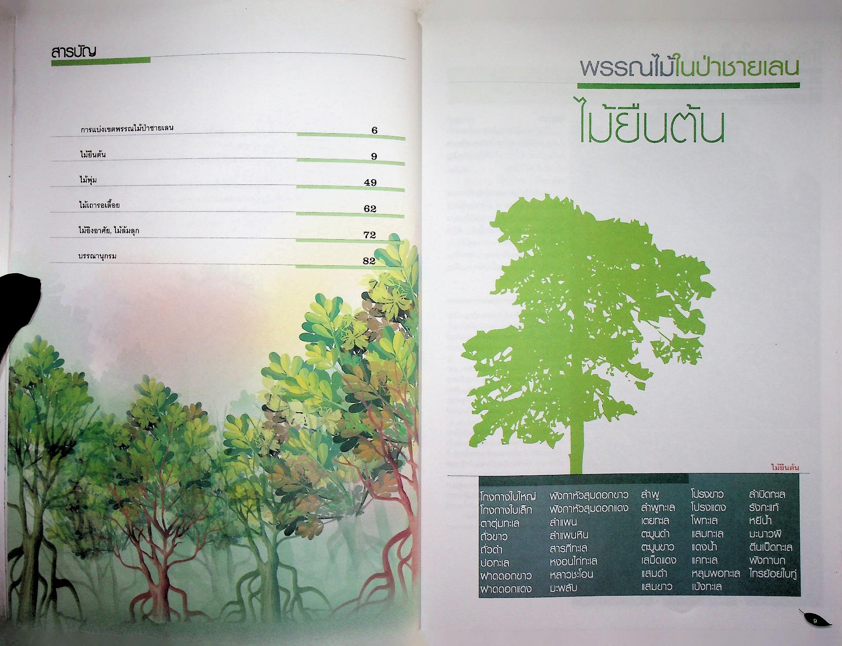 หนังสือส่งเสริมการศึกษาธรรมชาติ พรรณไม้ในป่าชายเลน