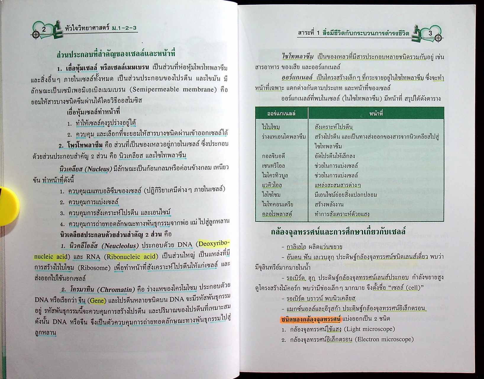 หัวใจ วิทยาศาสตร์ ม.1-2-3