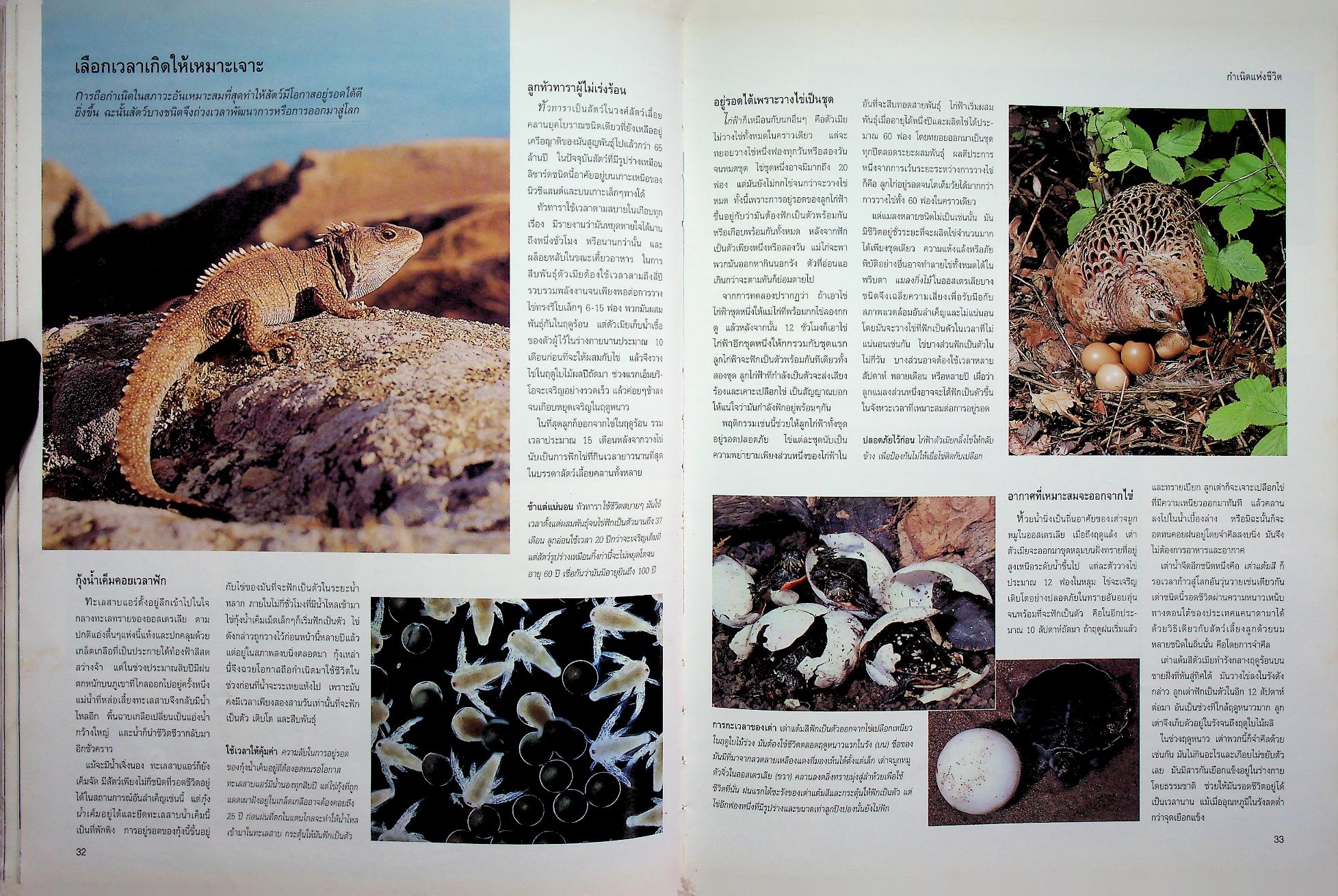 สำรวจชีวิตสัตว์โลกผู้น่าทึ่ง