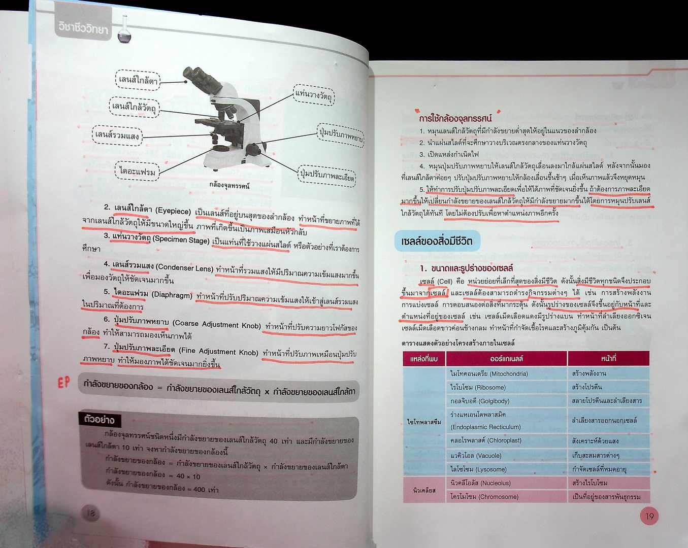 สรุปเข้มวิทยาศาสตร์ มัธยมต้น ฉบับสมบูรณ์