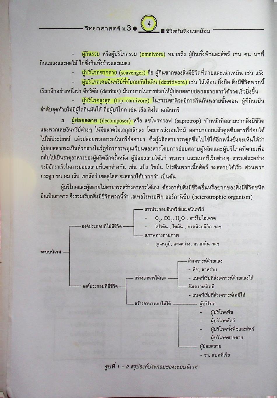 คู่มือเตรียมสอบสาระการเรียนรู้พื้นฐาน วิทยาศาสตร์ ม.3 ชีวิตกับสิ่งแวดล้อม สิ่งมีชีวิตกับกระบวนการดำรงชีวิต