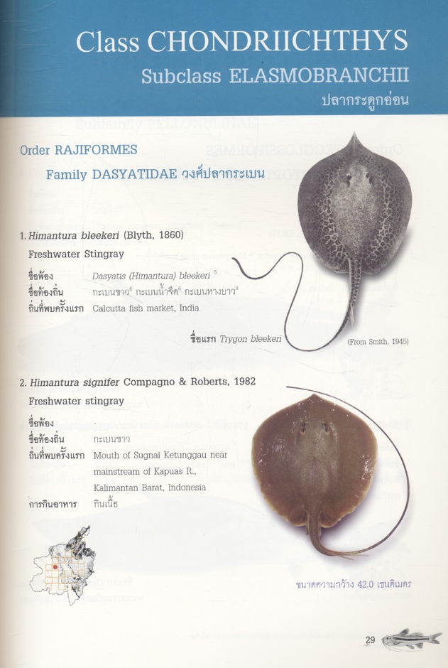 รายงานผลการติดตามตรวจสอบระบบนิเวศในน้ำและการประมง โครงการเขื่อนแควน้อยอันเนื่องมาจากพระราชดำริ