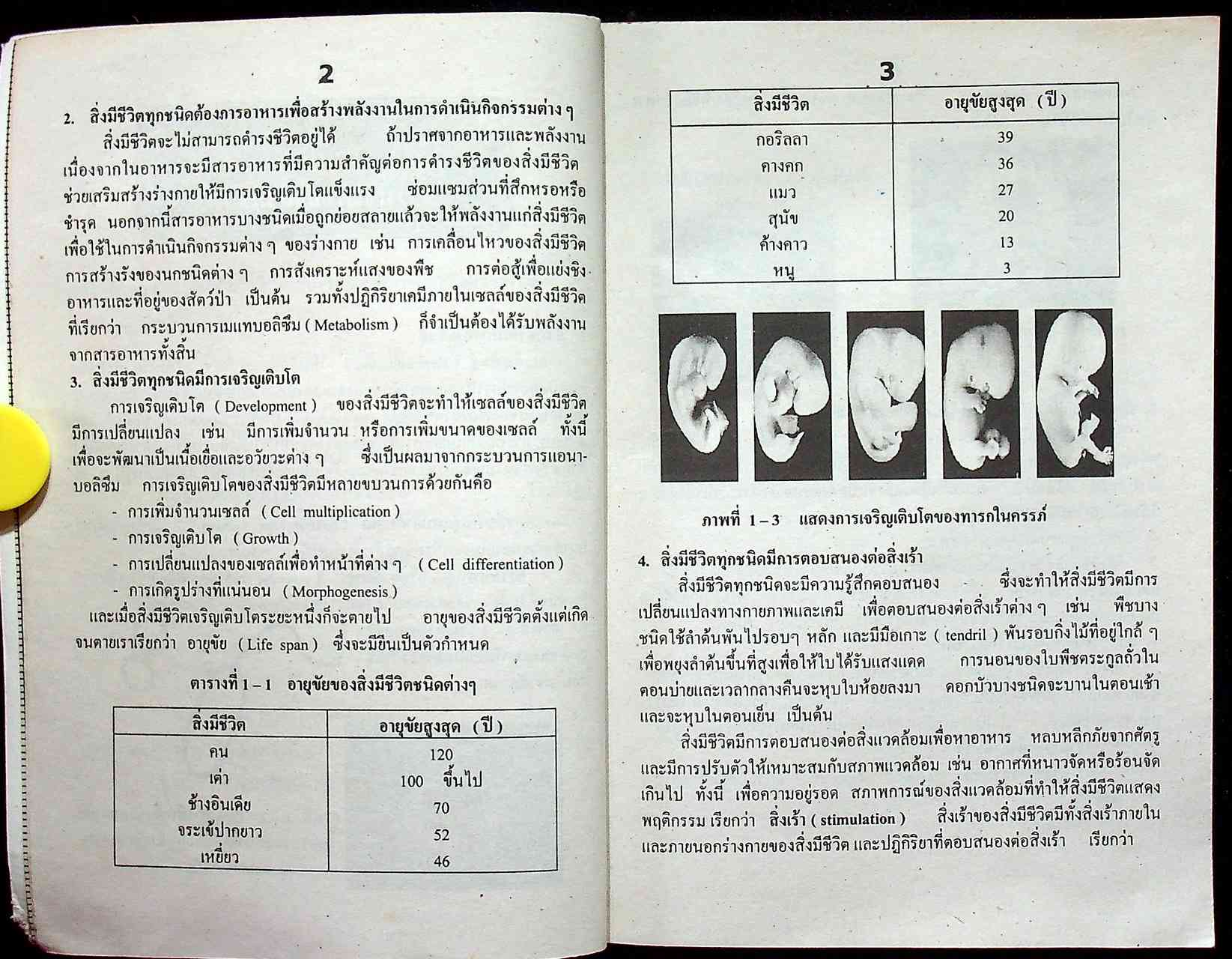 สรุปชีววิทยา ม.4 รวมเล่ม 1-2 ช่วงชั้นที่ 4