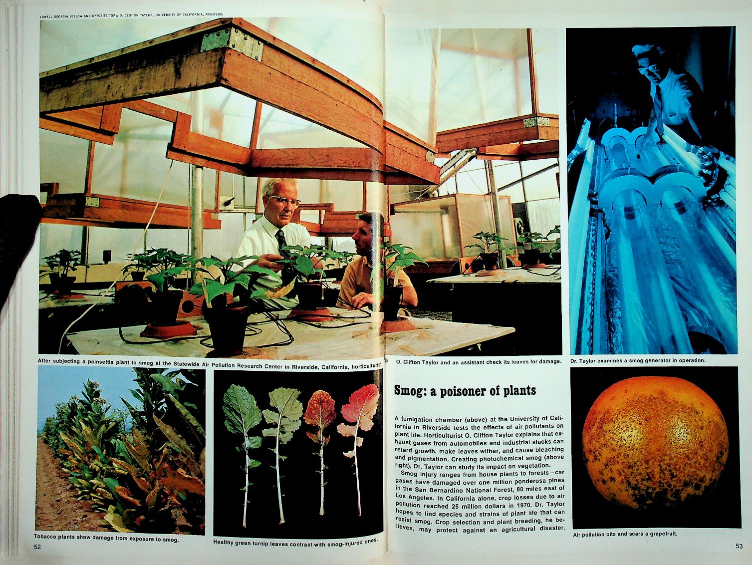 AS WE LIVE AND BREATHE : The Challenge of Our Environment