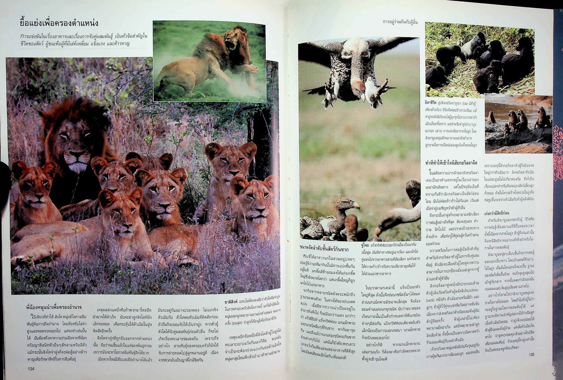 สำรวจชีวิตสัตว์โลกผู้น่าทึ่ง