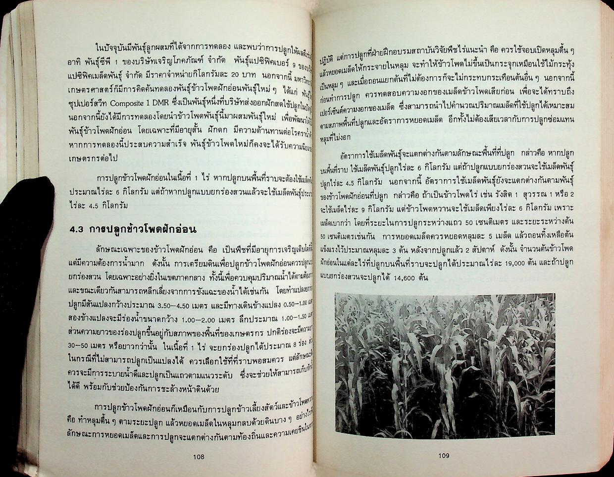 ผักและผลิตภัณฑ์ ปีที่ 9 ฉบับที่ 1/2531