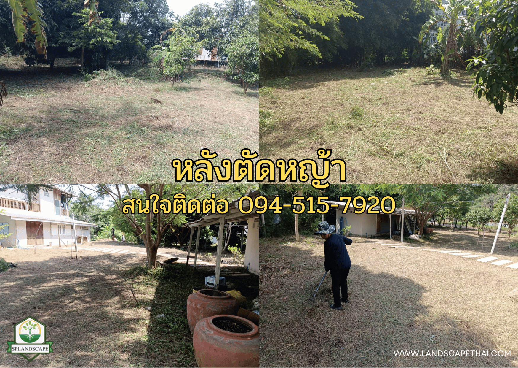 บริการรับตัดหญ้า เคลียร์ริ่ง ถางป่า กาญจนบุรี โทร. 094-515-7920