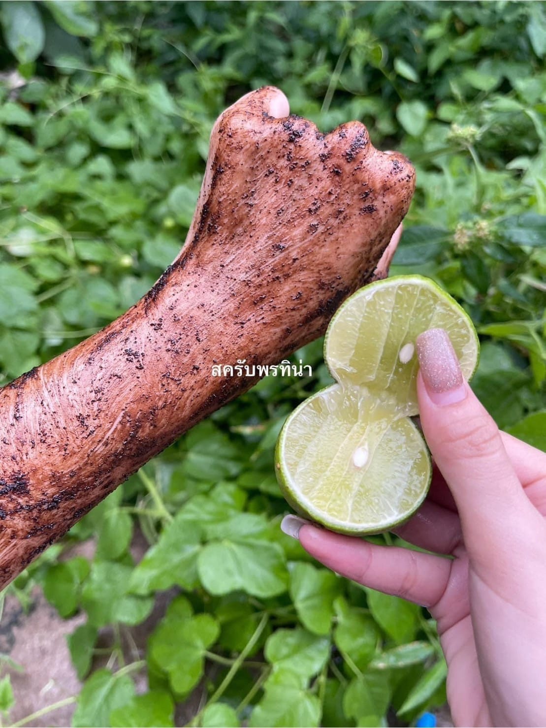 สครับพรทิน่า สครับกาแฟPONTINA 1 ซอง มี 6ก้อน