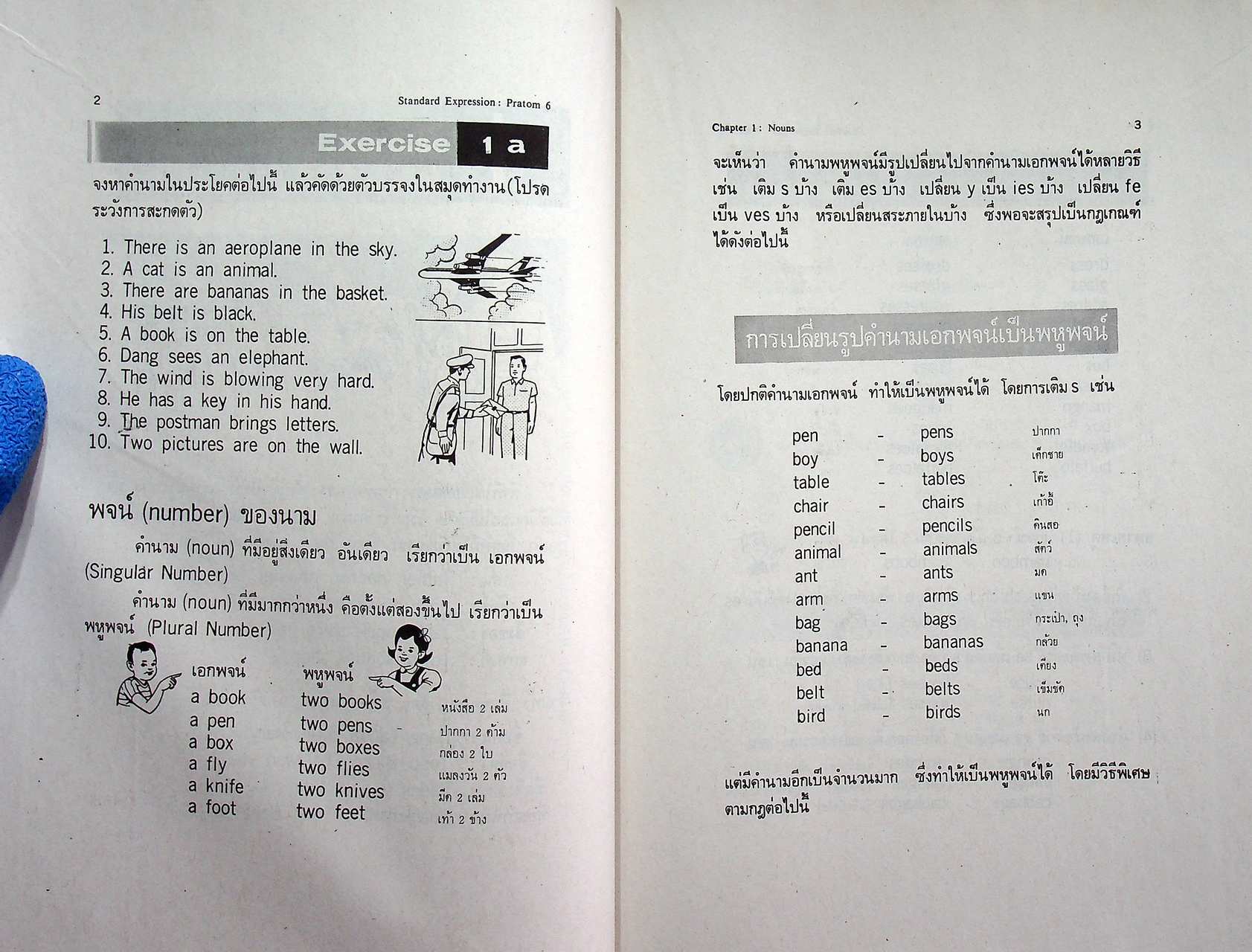STANDARD EXPRESSION PRATOM 6