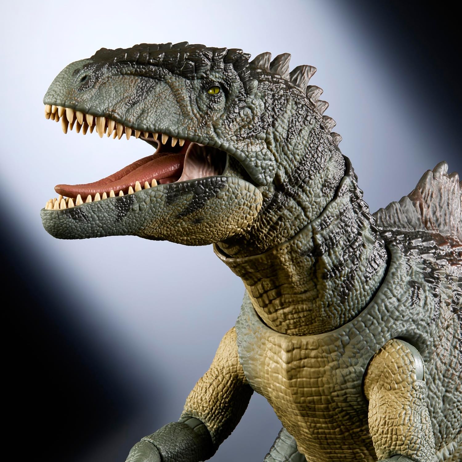 **MTS Toys**Mattel Jurassic World Hammond Collection : HXF57 Giganotosaurus [ความยาวจากหัวถึงหาง 72 ซ.ม.]