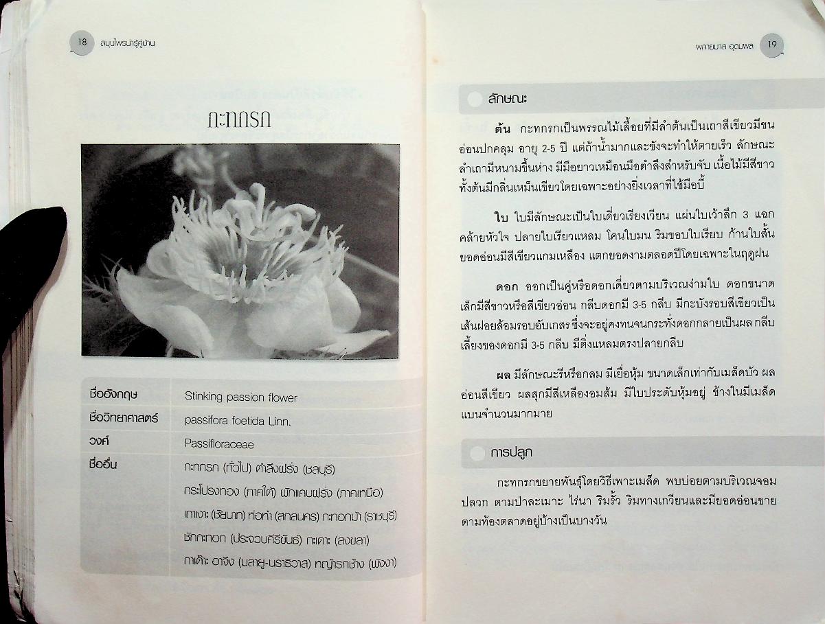 สมุนไพรน่ารู้คู่บ้าน