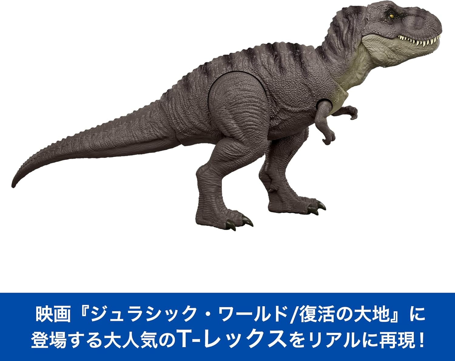 **MTS Toys**Mattel Jurassic World Rebirth : JGM16 Tyrannosaurus Rex [ความยาวจากหัวถึงหาง 46 ซ.ม.]