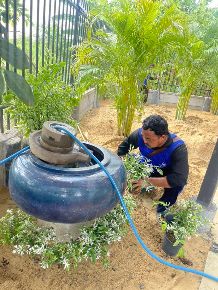 ปูหญ้ามาเลย์ ตำบลเมืองเก่า อำเภอเสาไห้ จังหวัดสระบุรี