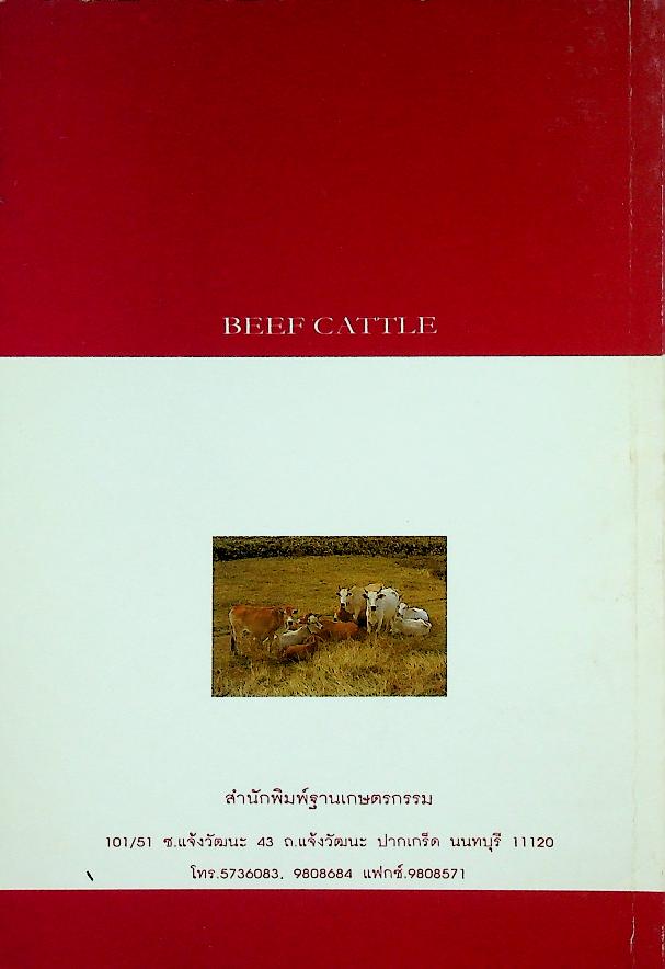 การเลี้ยงโคเนื้อ