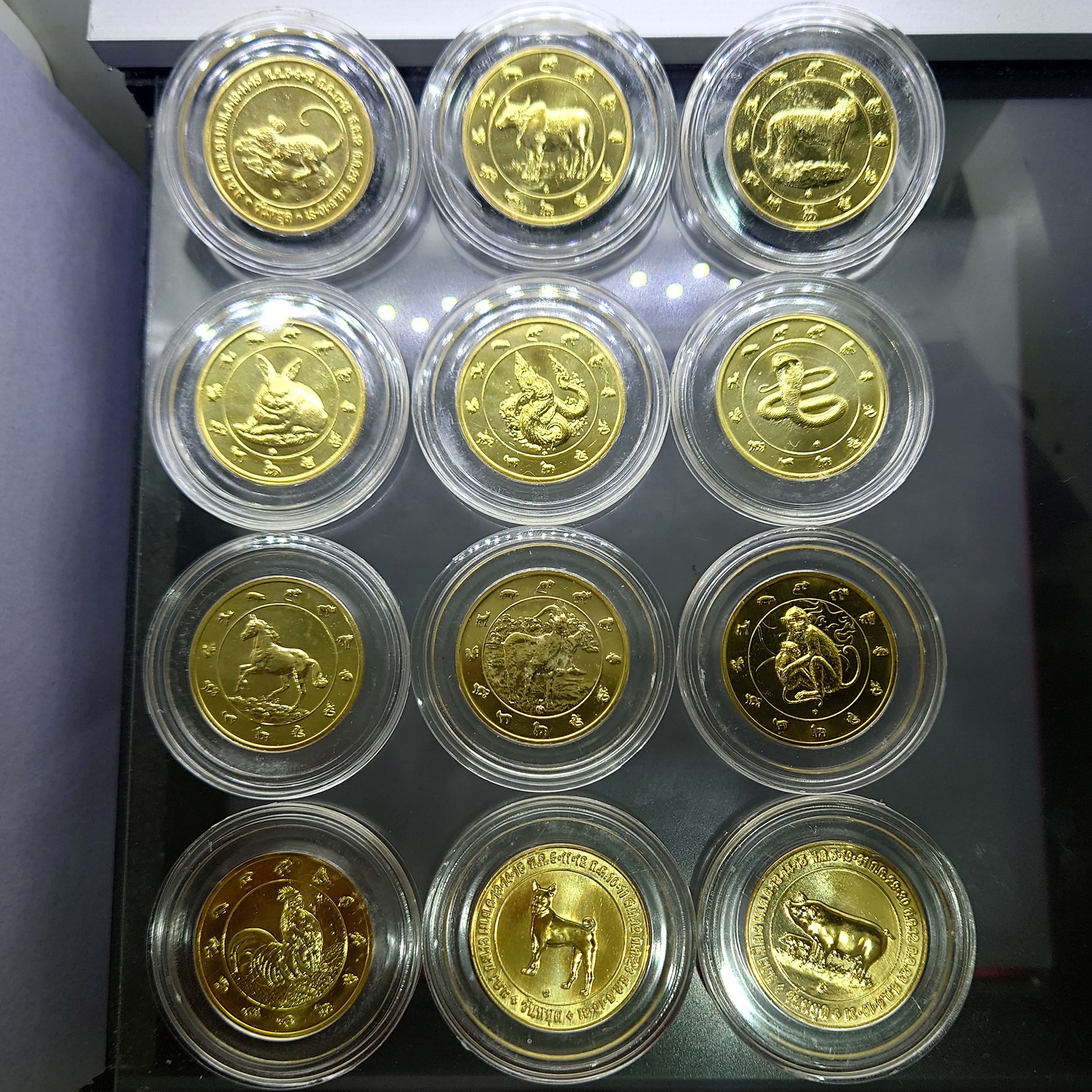 เหรียญปีนักษัตร เนื้อทองแดงชุบกาหลั่ยทอง ครบชุด 12 นักษัตร (ประจำปี2549-2560) กรมธนารักษ์สร้าง ไม่ผ่านใช้