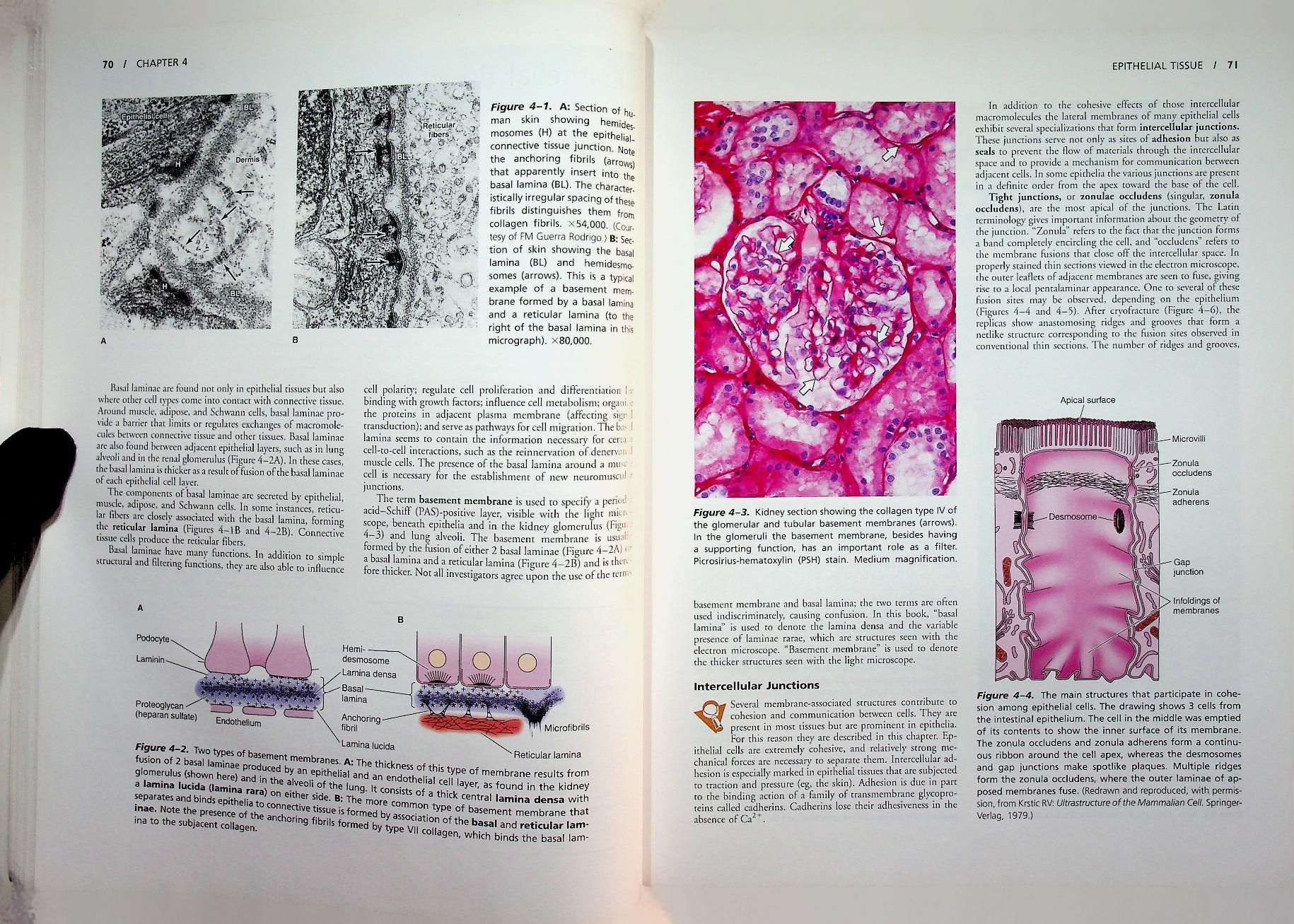 basic histology TEXT & ATLAS